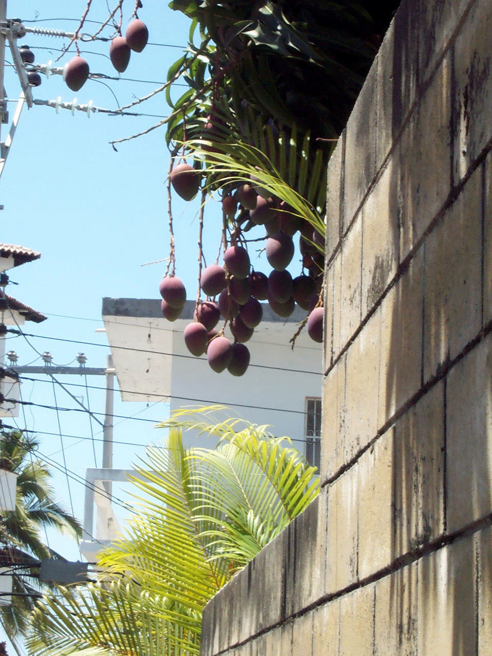 Puerto Vallarta