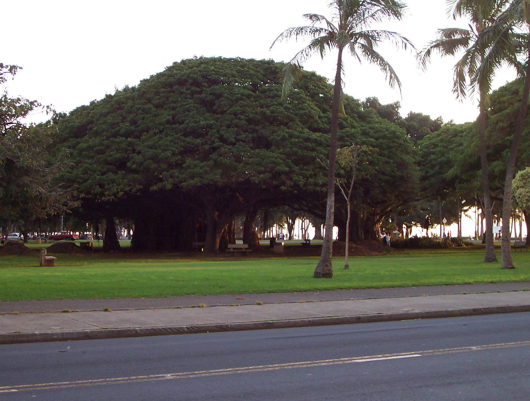Honolulu