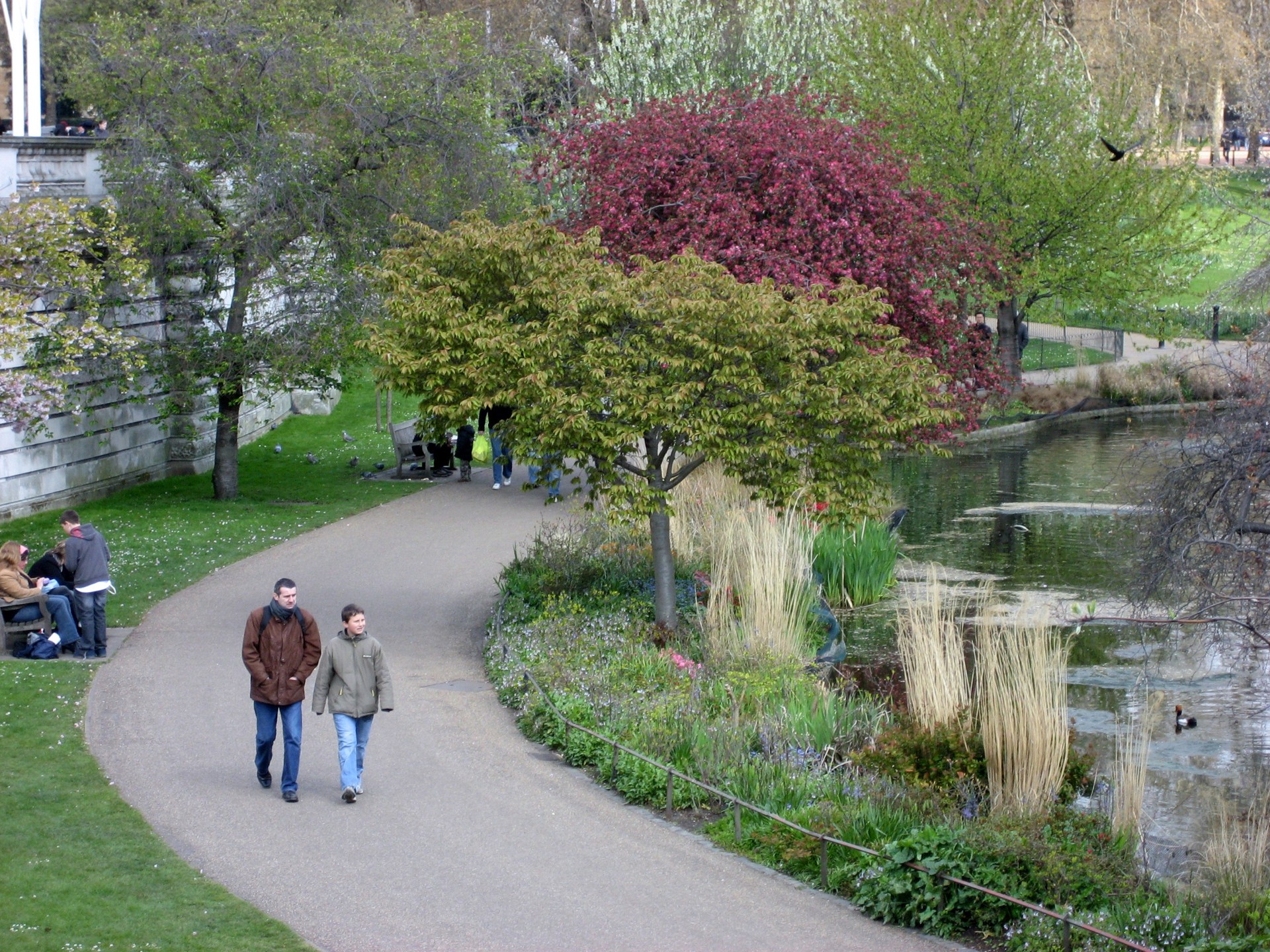 St. James’ Park. Buckingham Palace