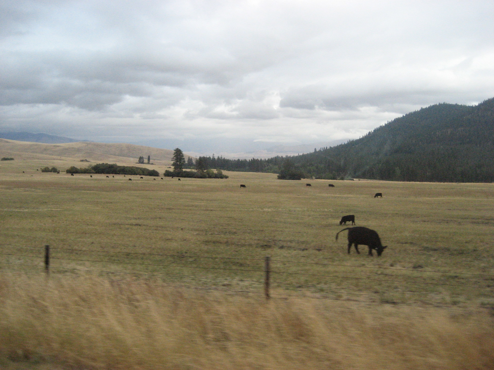 Montana Roadtrip 2011