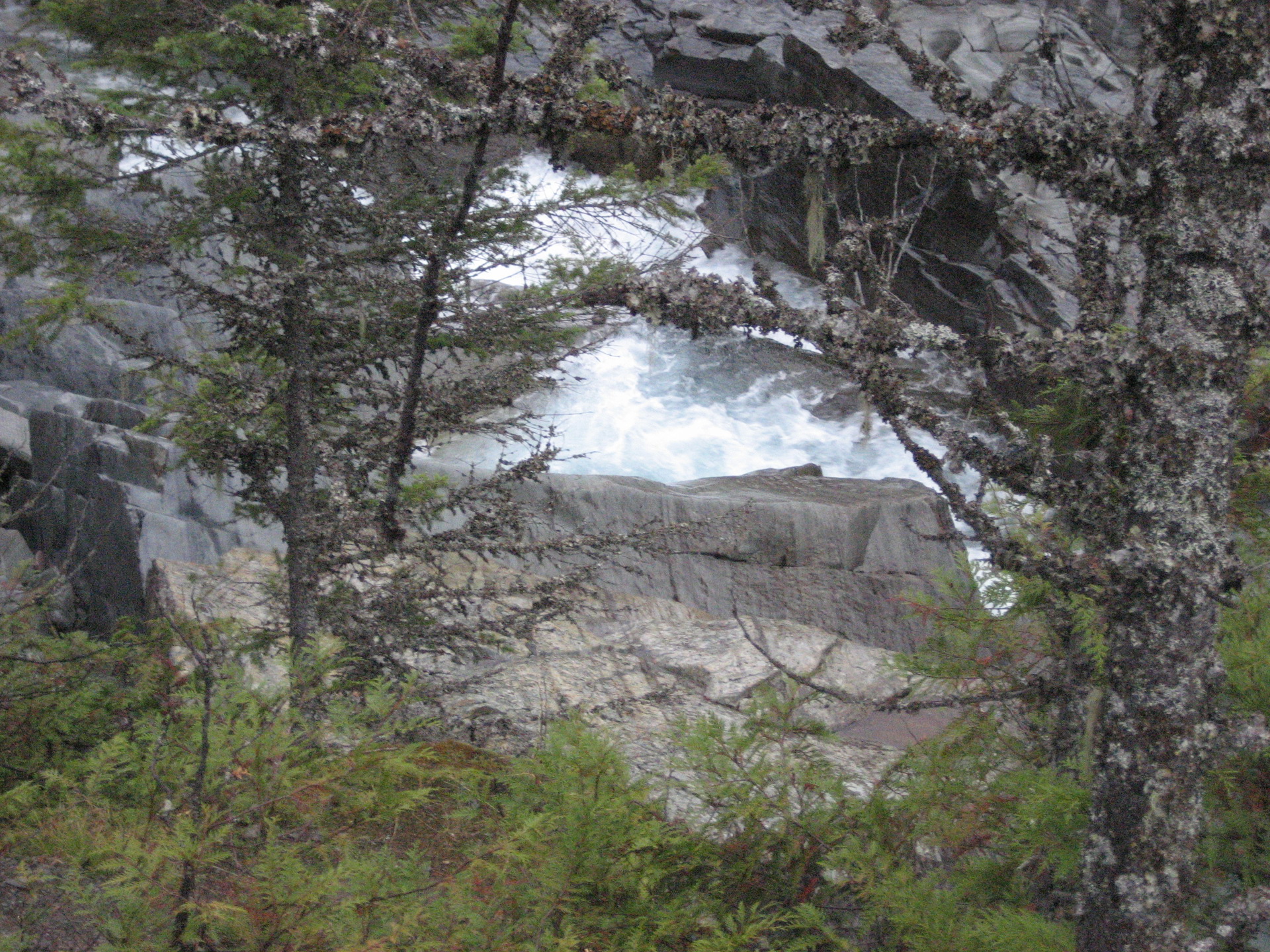 Montana Roadtrip 2011