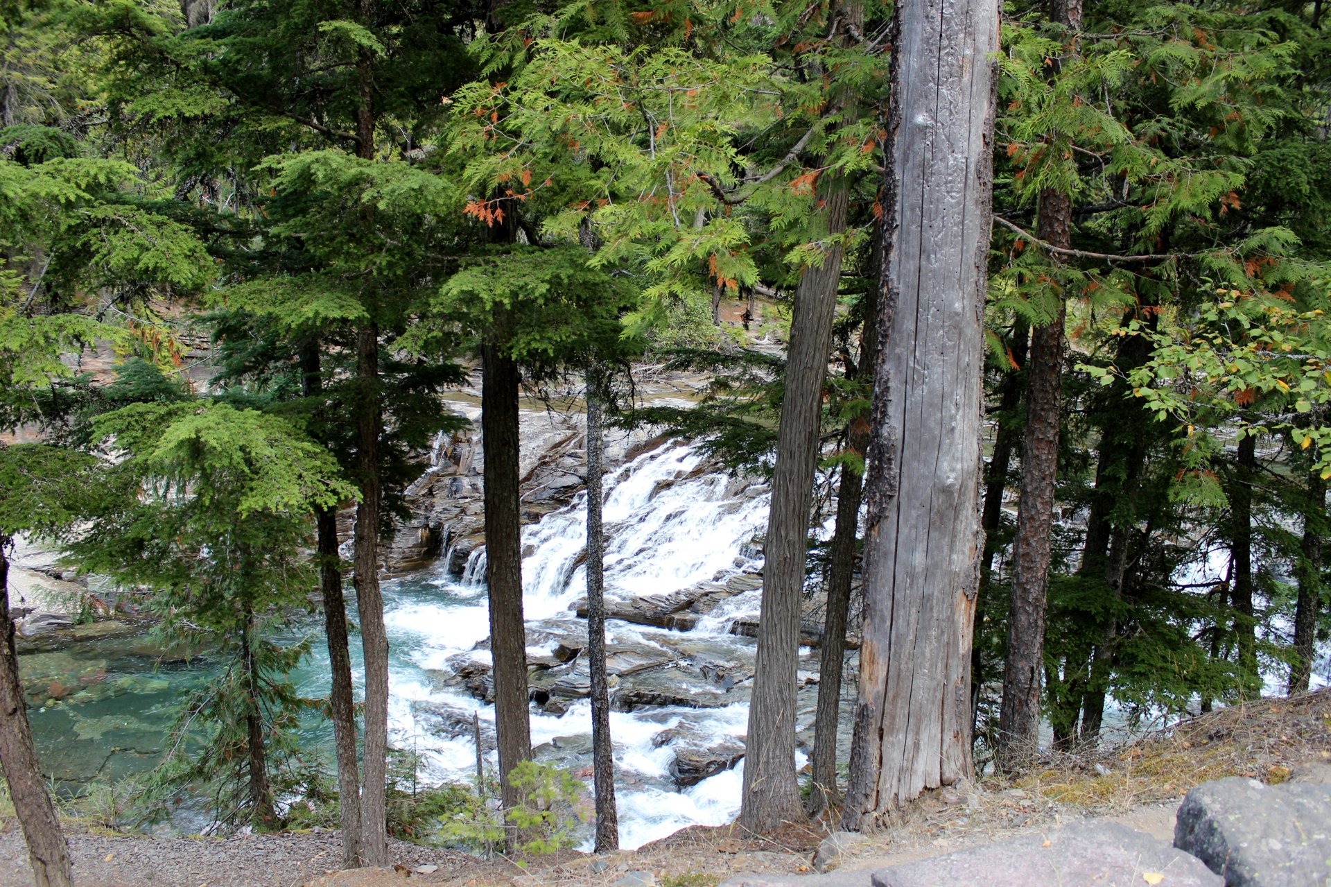 Montana Roadtrip 2012