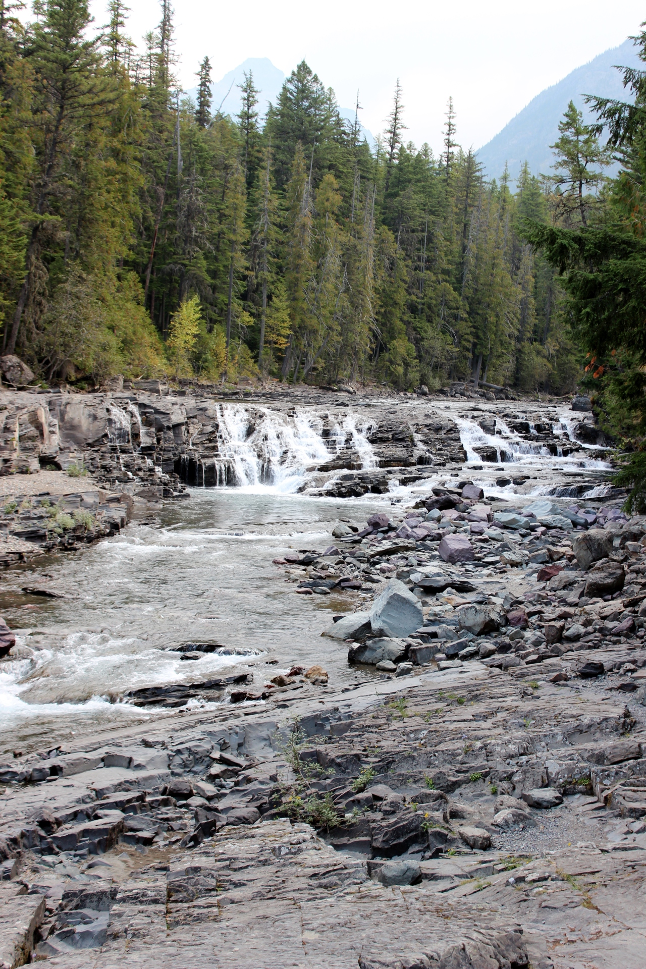 Montana Roadtrip 2012