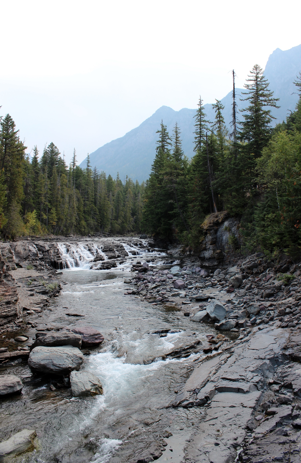 Montana Roadtrip 2012