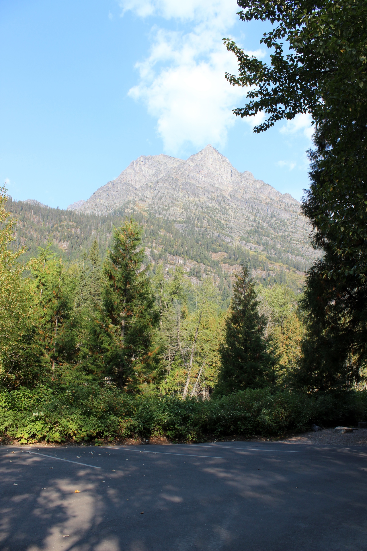 Montana Roadtrip 2012