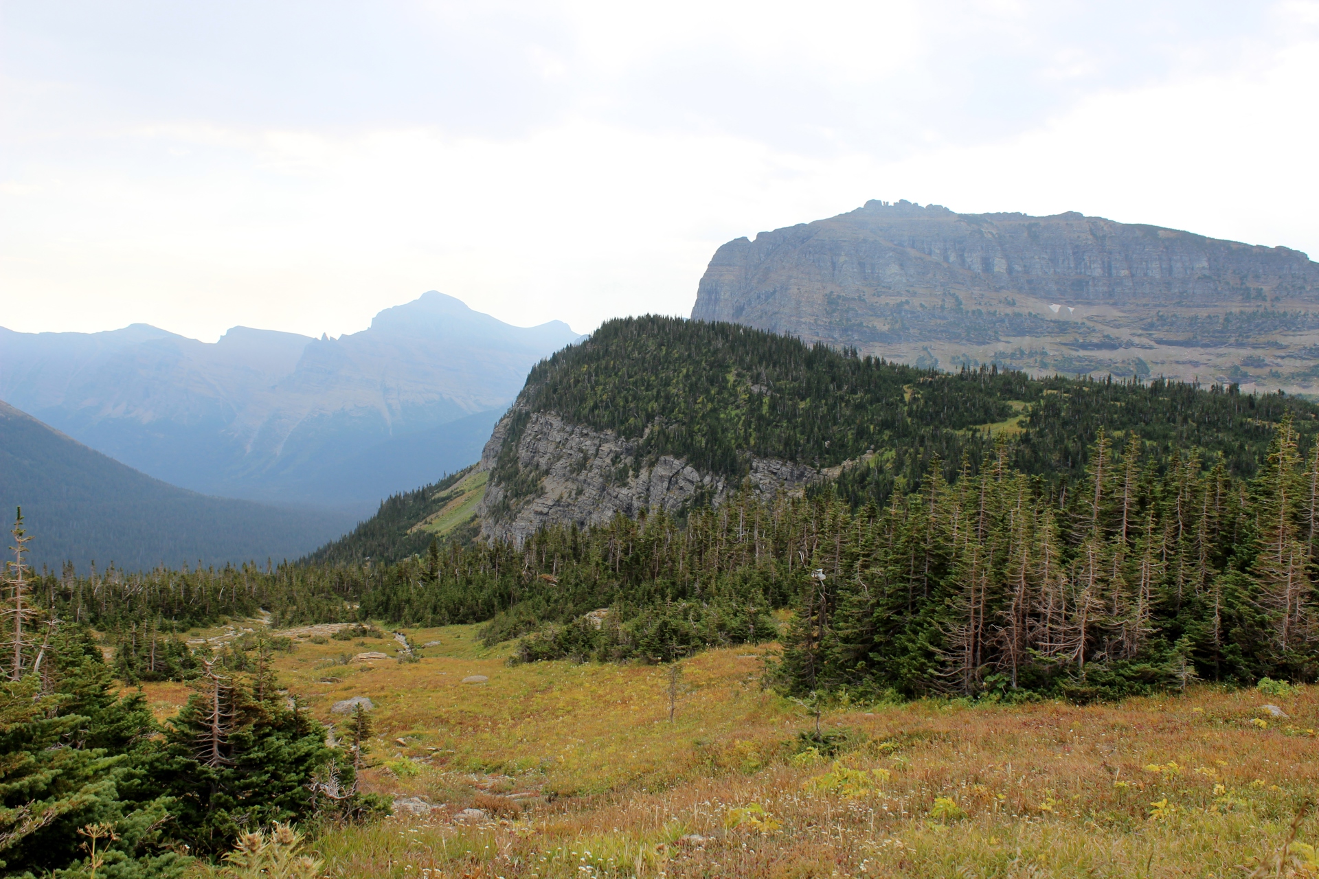 Montana Roadtrip 2012