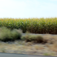 Montana Roadtrip 2012